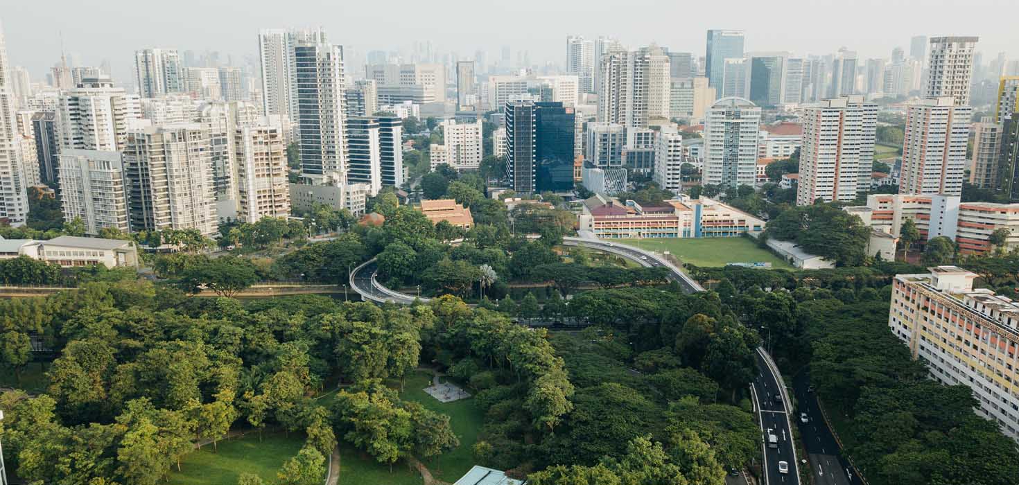 Green park space beside dozens of skyscrapers.